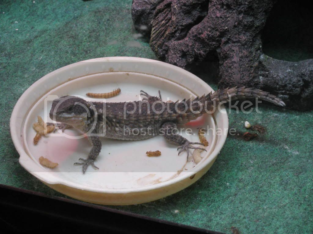IMG_0713.jpg