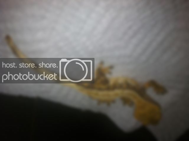 photo31.jpg