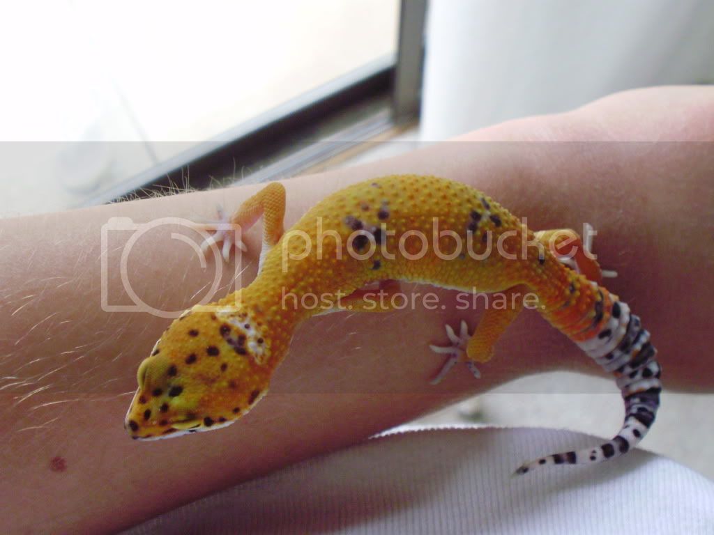 may09101.jpg