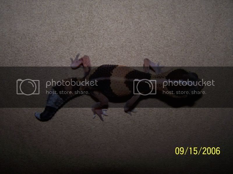 JB3.jpg