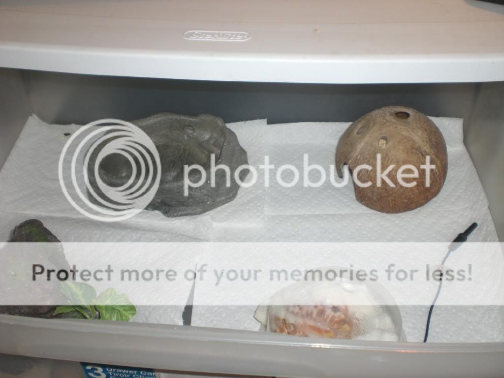 junepix034.jpg