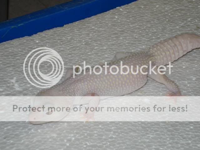 vincentduimenfotosgroepen034.jpg