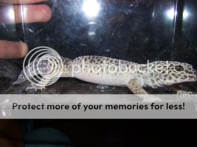 100_2502.jpg