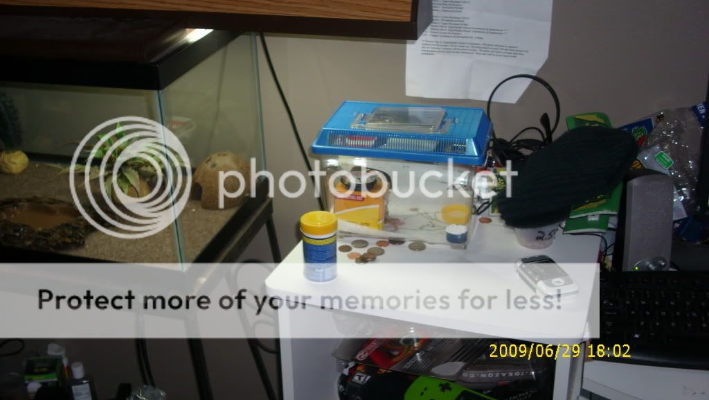 DSCI0050.jpg