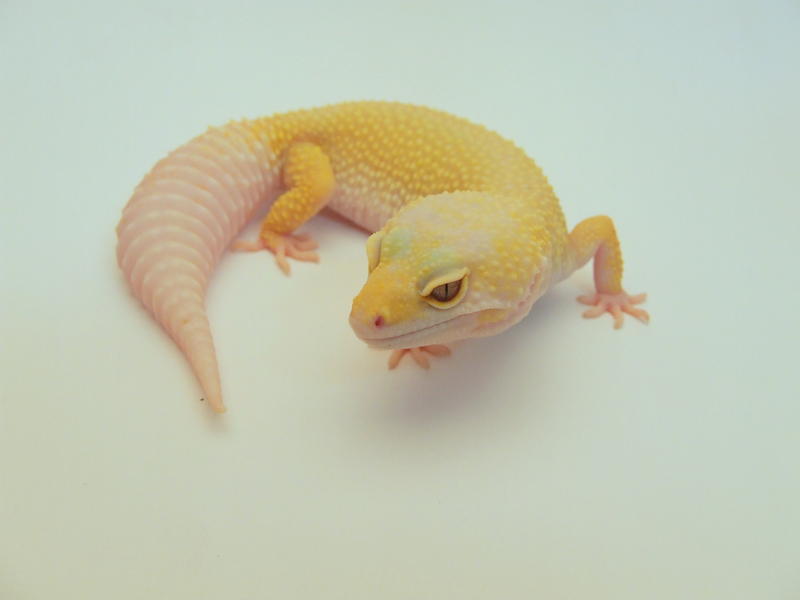 13471014fp.jpg