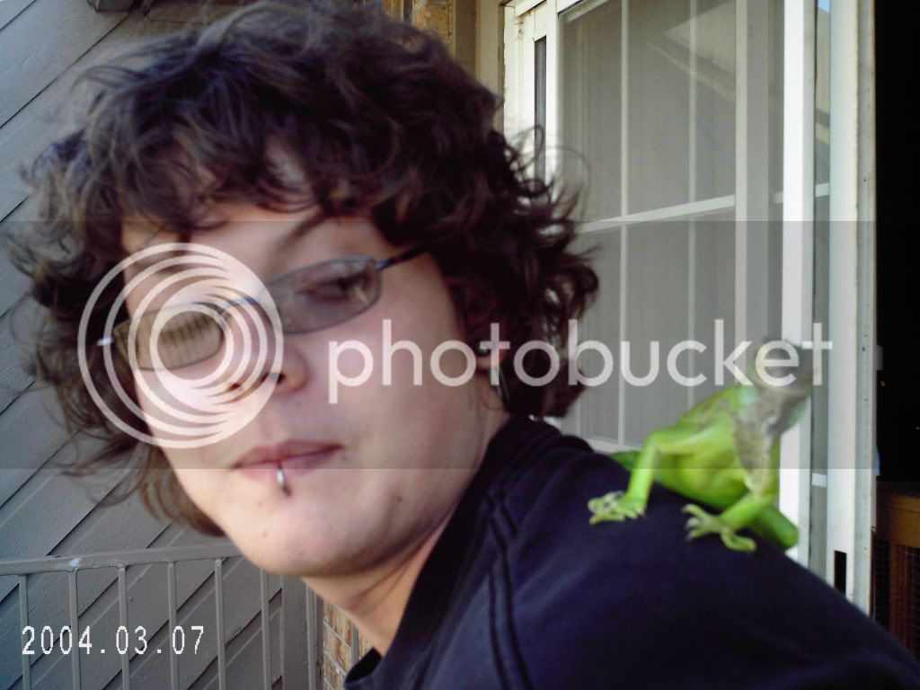 pets014.jpg