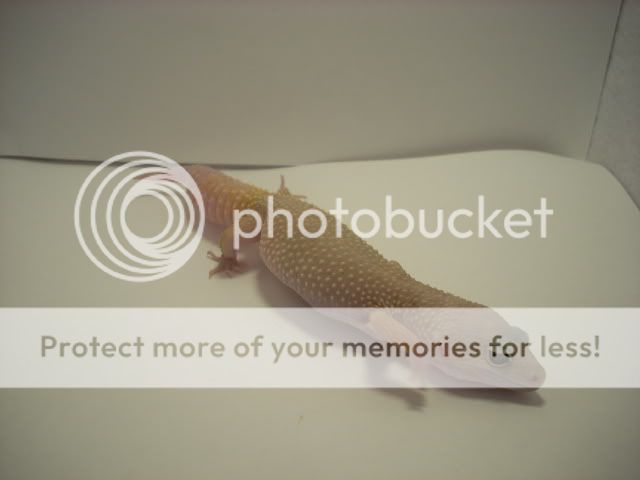 DSCN1330.jpg