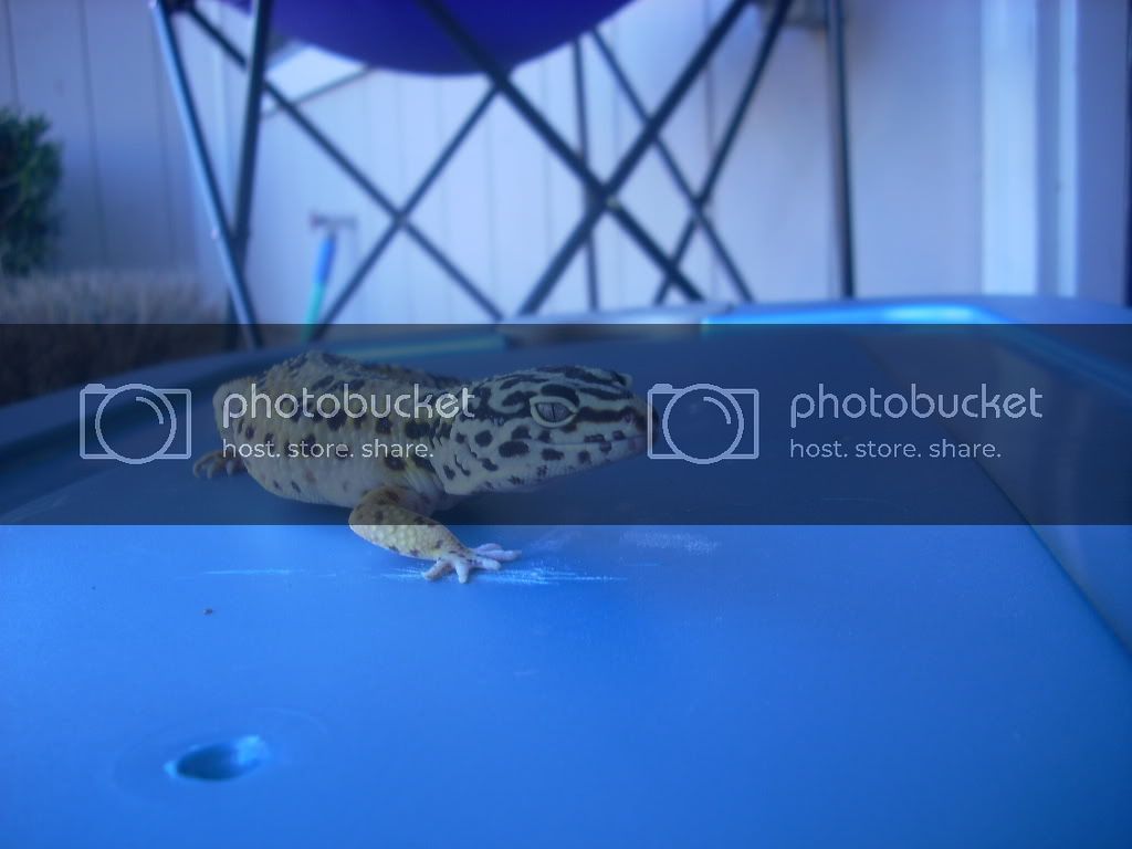 DSCN0218.jpg