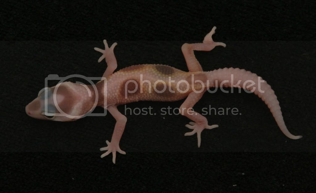 IMG_6303.jpg