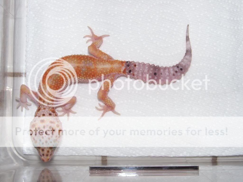 100_1049.jpg