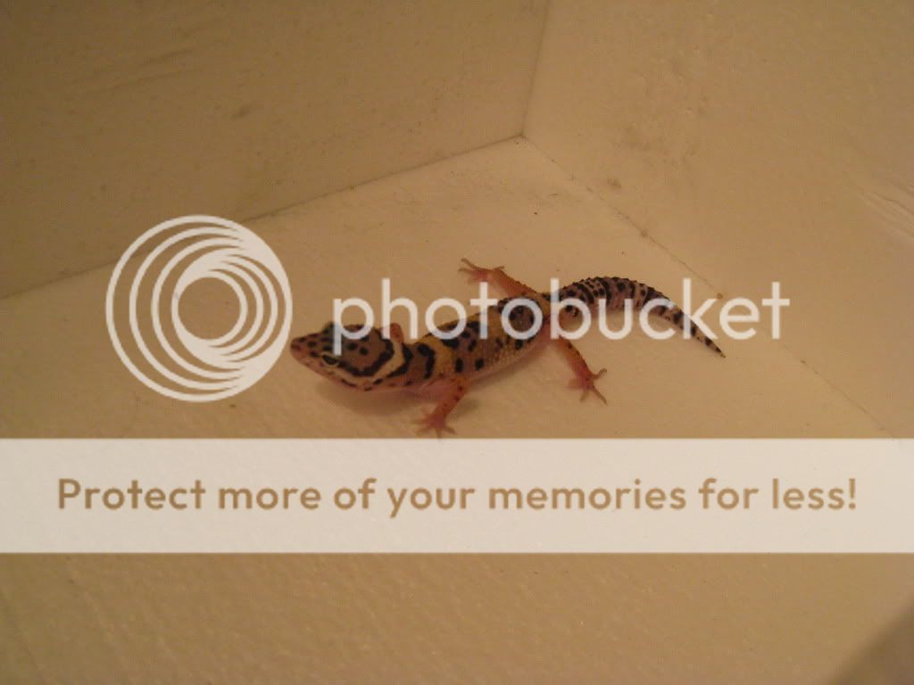 IMG_5654.jpg