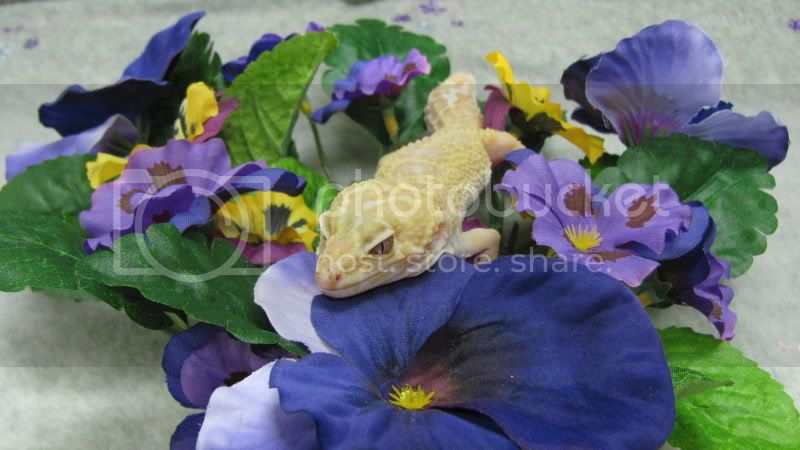 rawson5084May.jpg