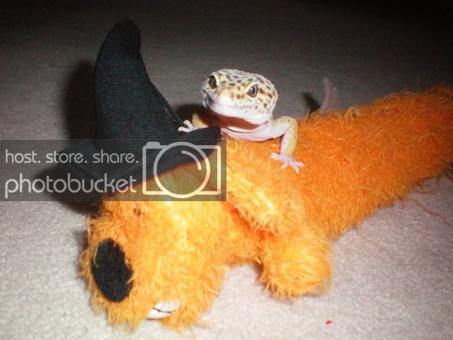 ValMarley08Oct.jpg