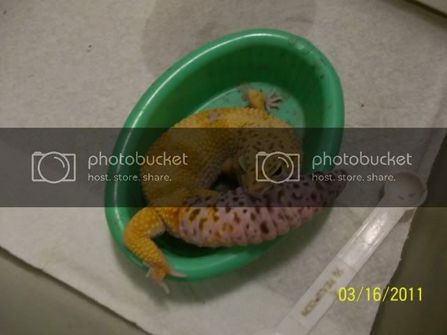 Picture001.jpg