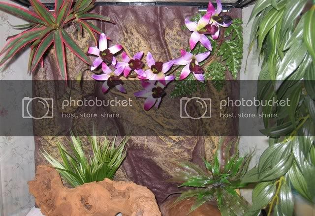 IMG_2861-Copy.jpg