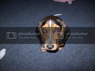 mileyandhunter008.jpg