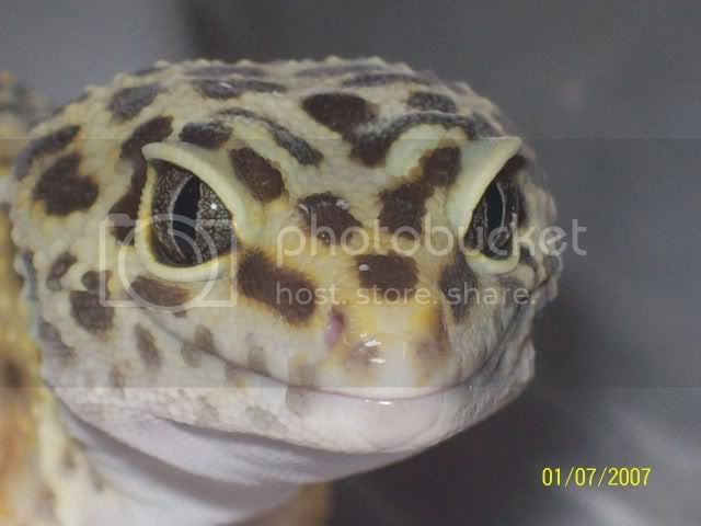 morepics015.jpg