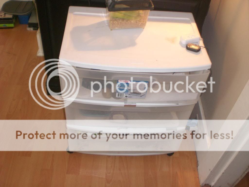 junepix033.jpg