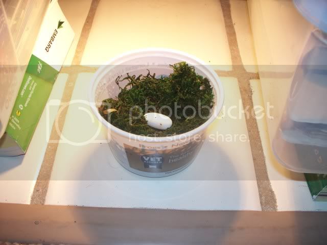 100_1832.jpg