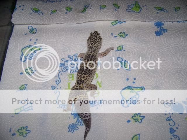 100_2505.jpg