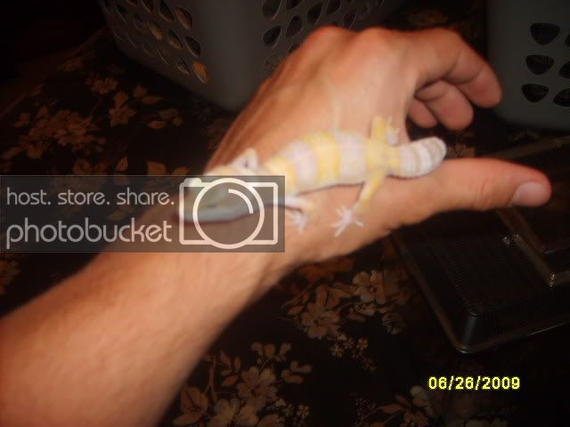 Picture697.jpg