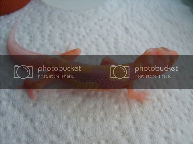 S5009063.jpg