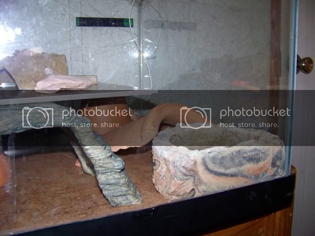100_2520.jpg