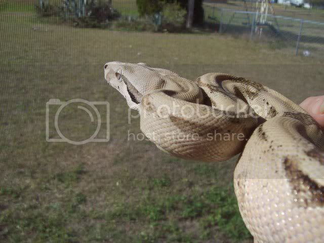 NewEdenpix002.jpg