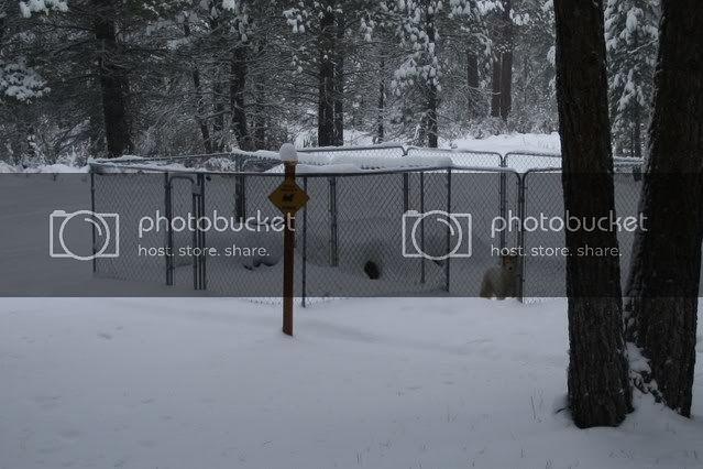 008-2.jpg