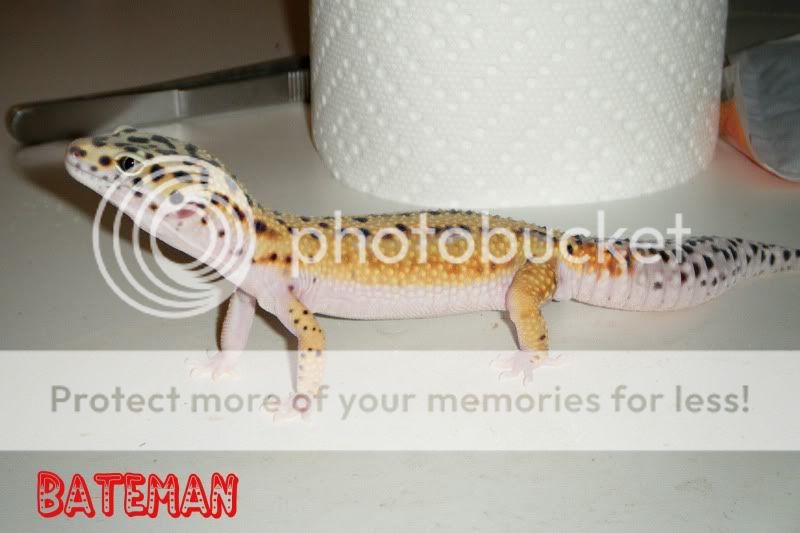 DSCF9588.jpg
