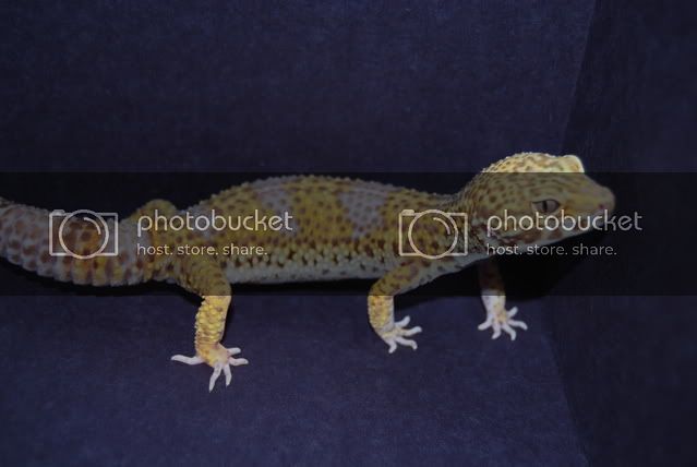 DSC_1358.jpg