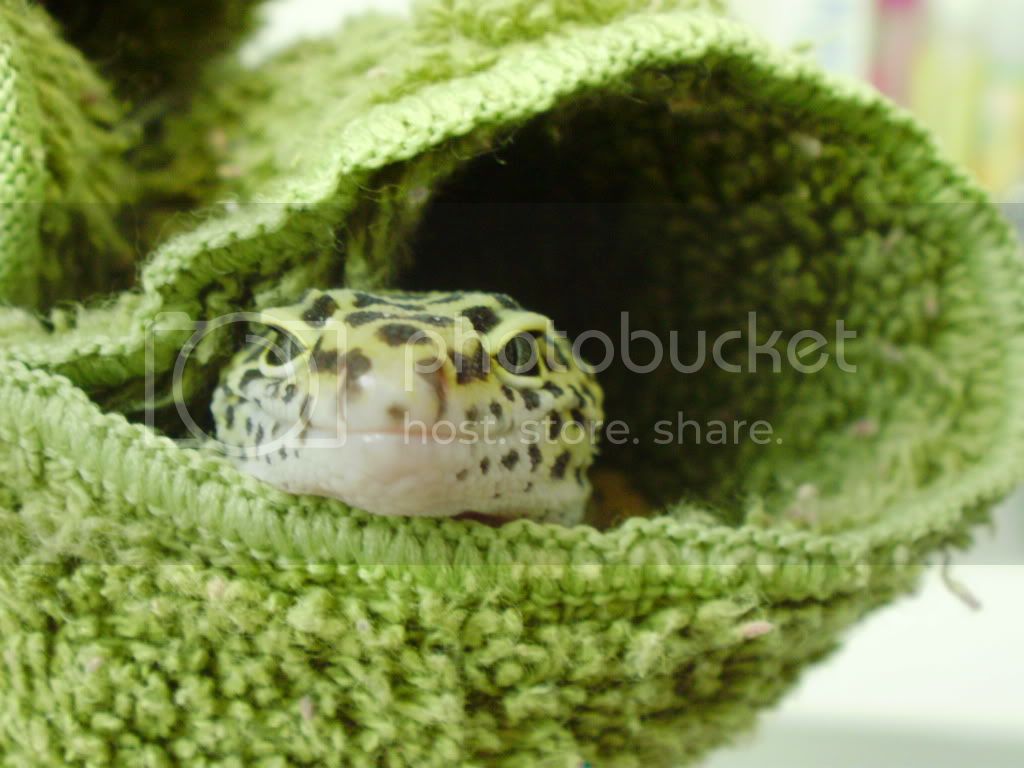 july09008.jpg