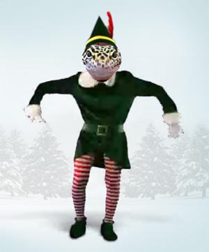 leo-elf.jpg