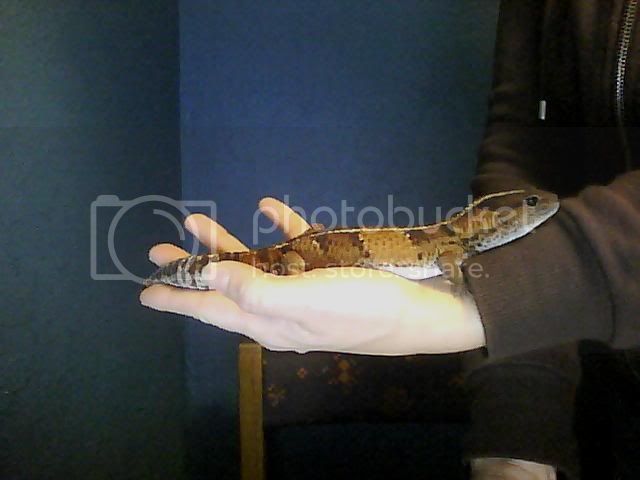 Picture0014.jpg