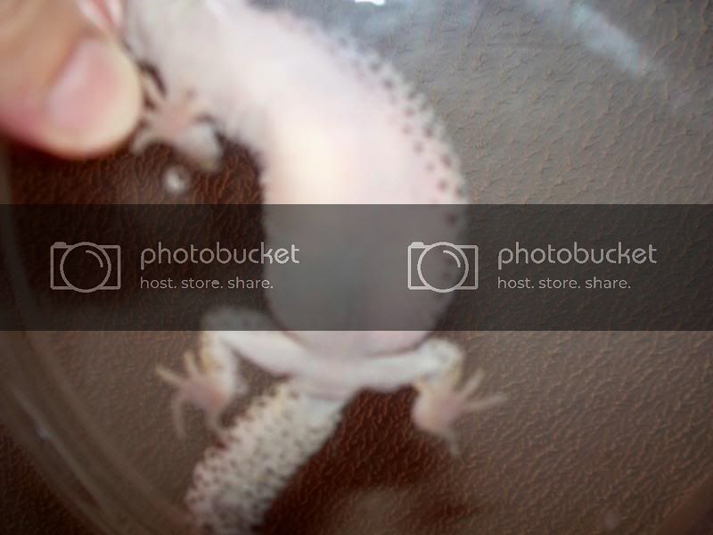 100_0028.jpg