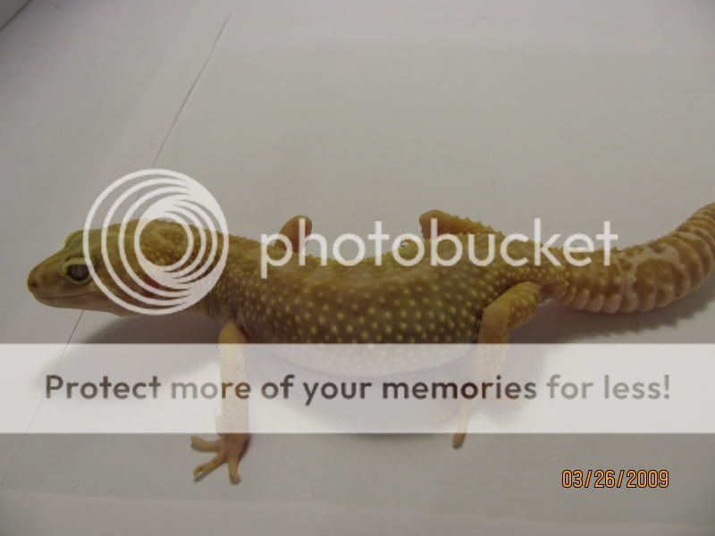 IMG_0062.jpg