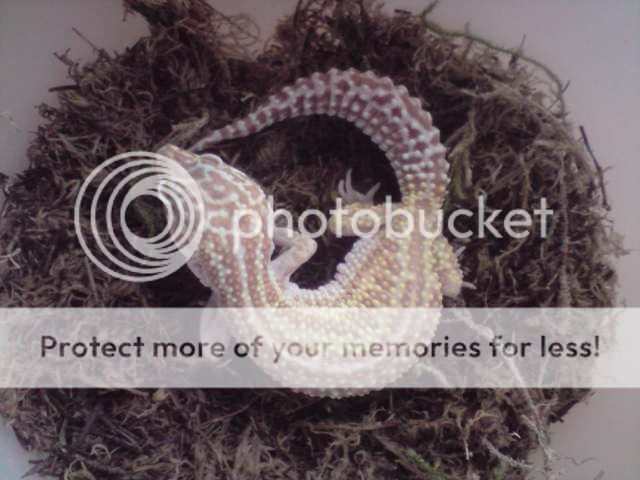 P100509_1515.jpg
