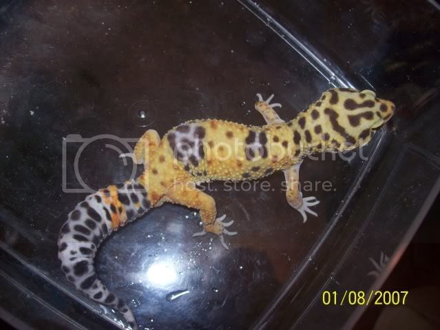 Picture099.jpg