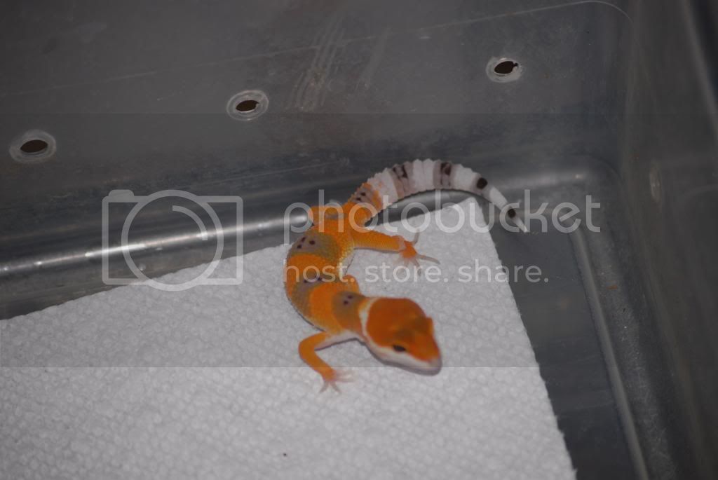 DSC_0042.jpg