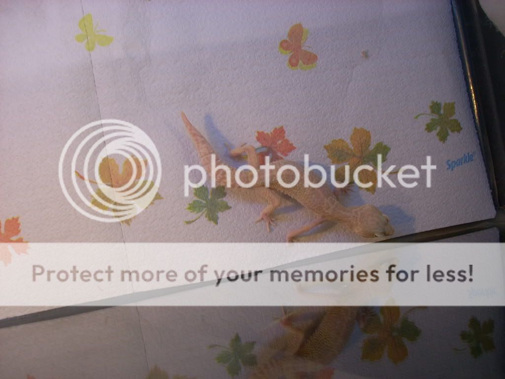 DSCN9924.jpg