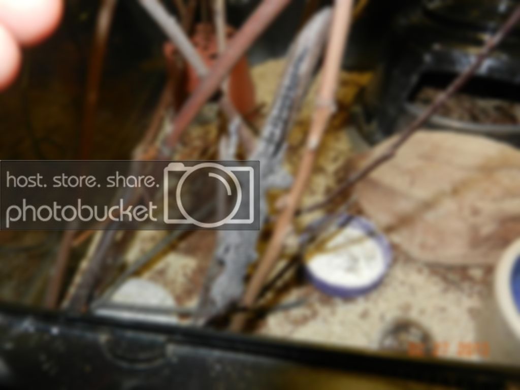 003-19_zps7645493e.jpg