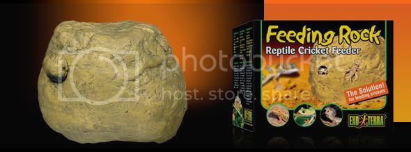 feeding_rock.jpg