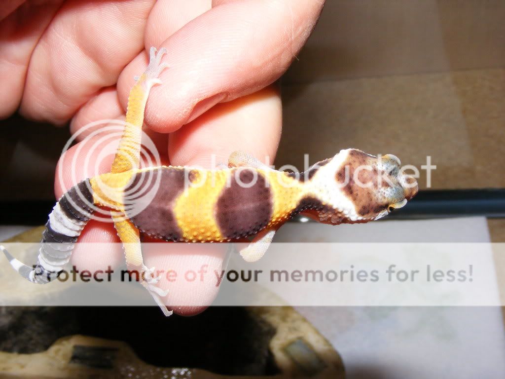 DSCF1758.jpg