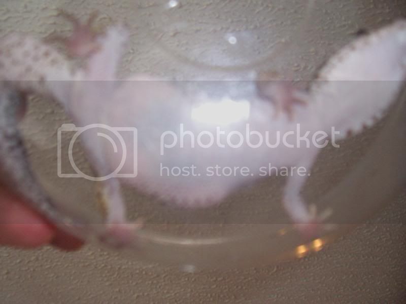 100_1743.jpg