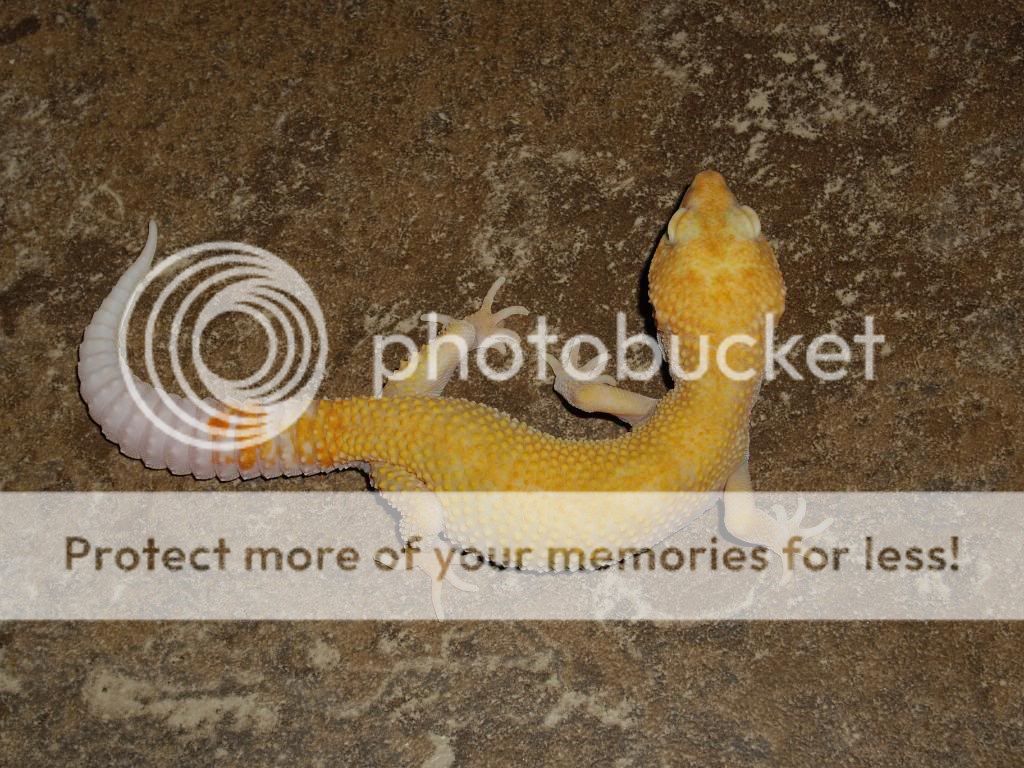 IMGP6384.jpg