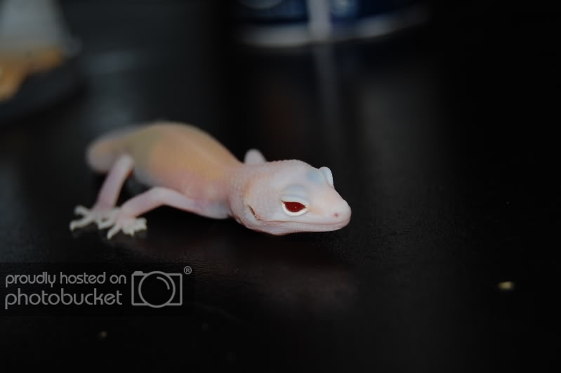 DSC_1286.jpg