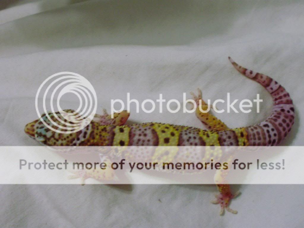 july09120.jpg