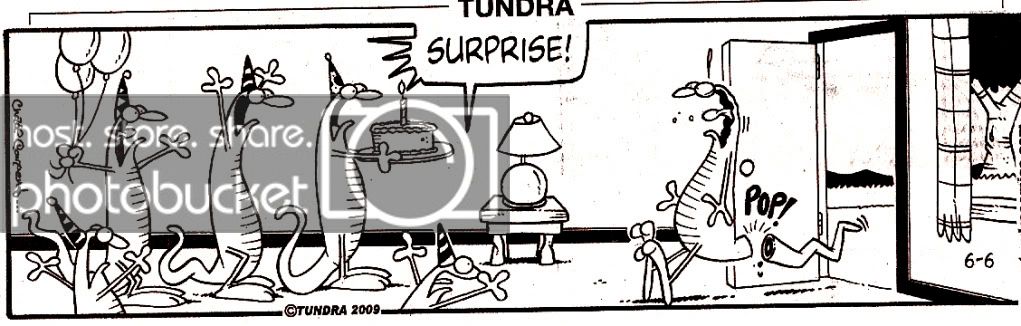 Tundra-Surprise.jpg