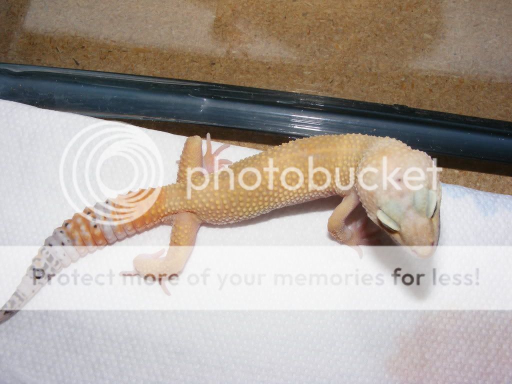 DSCF1737.jpg