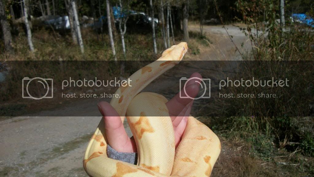 100_4725.jpg